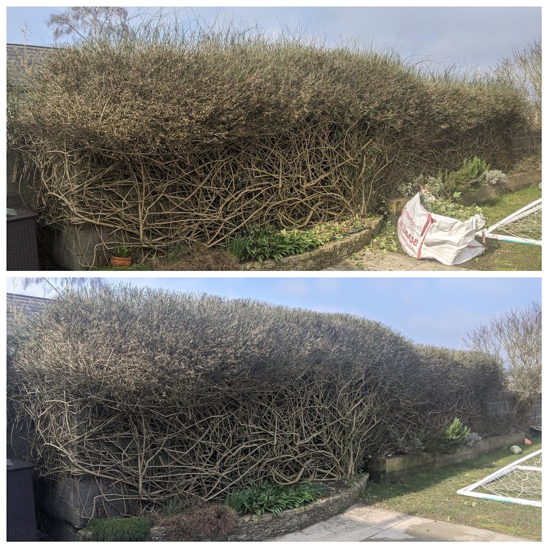 D E handyman services — Photos 7